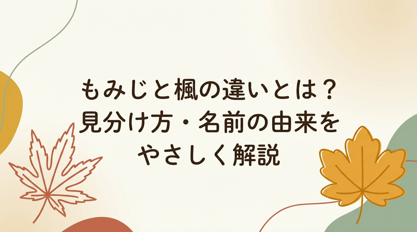 momiji-kaede-difference