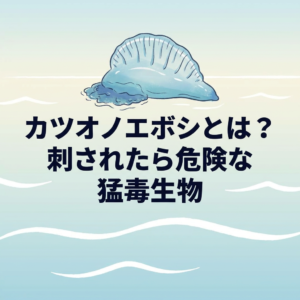 katsuonoeboshi-sting-guide
