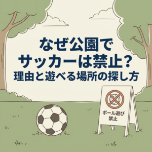 why-park-soccer-banned