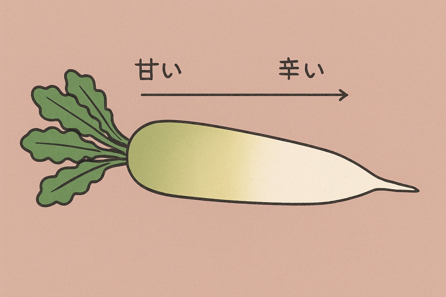 横向きに1本だけ描いた白い大根のイラスト。左端に緑の葉が付き、葉に近い上部から右の細い先端へ向かって、淡いミントグリーンからマスタードイエローへ変わるグラデーション。大根の上に左から右への細い矢印を1本引き、左端に「甘い」、右端に「辛い」と小さく文字を添える。すりおろした大根、器、おろし器、包丁、人物、料理は描かない。北欧イラスト風のシンプルな線画とくすみカラー、背景は無地